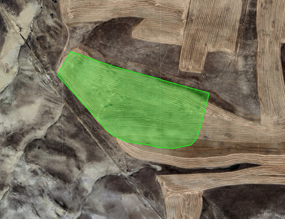 Tarla sınaqları necə aparılır?